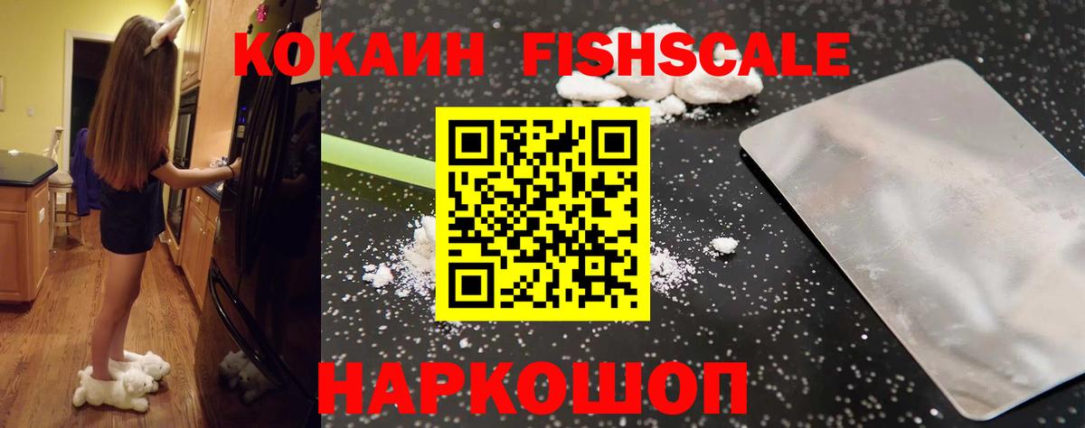 Кокаин Fish Scale  продажа наркотиков  Новоалтайск  Вход с VPN  КОКАИН Fish Scale 