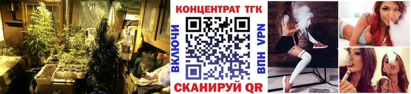 где найти наркотики hydra онион Дистиллят ТГК THC oil Новоалтайск