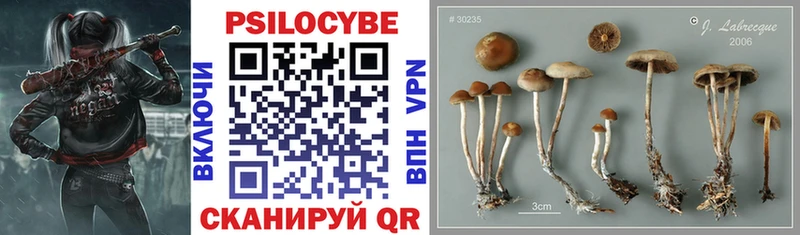 Галлюциногенные грибы GOLDEN TEACHER Новоалтайск