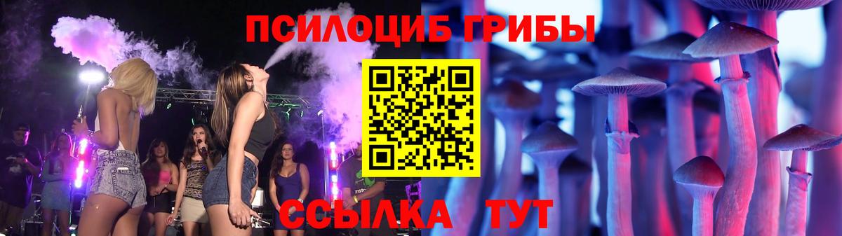 Галлюциногенные грибы Cubensis  Вход с VPN  Новоалтайск 